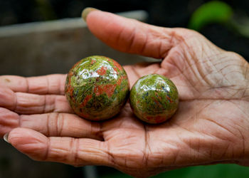 Close-up of hand holding fruit