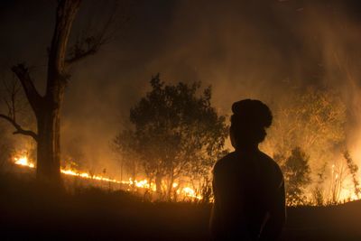 Rear view of man looking at fire in forest during night