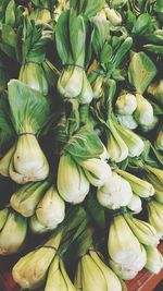 High angle view of vegetables for sale in market