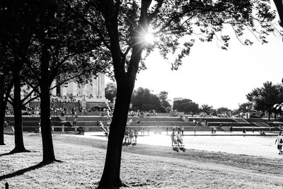 Sun shining through trees