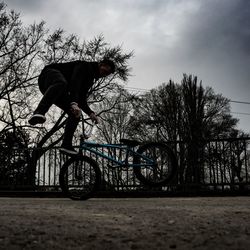 Man riding bicycle on bare tree