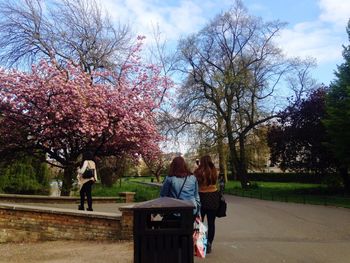 Rear view of woman standing in park