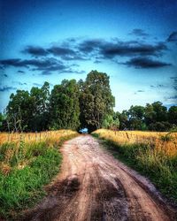 Dirt road passing through field