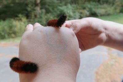 Close-up of person holding hand