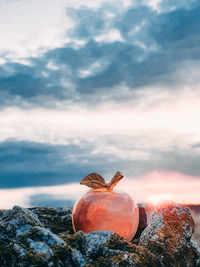 Close-up of orange on rock against sky