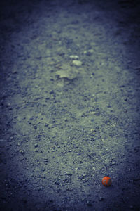 High angle view of wet road in rain