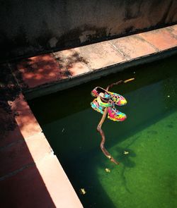 High angle view of girl in water