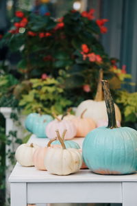 Close-up of multi colored pumpkins on table