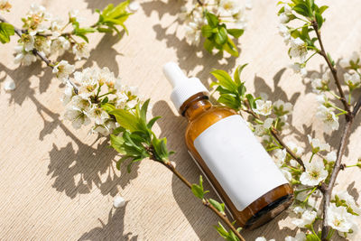 High angle view of bottle on table