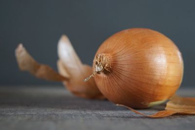 Close-up of onion on table