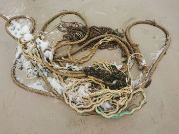 High angle view of rope at beach