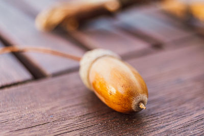 High angle view of snake on table