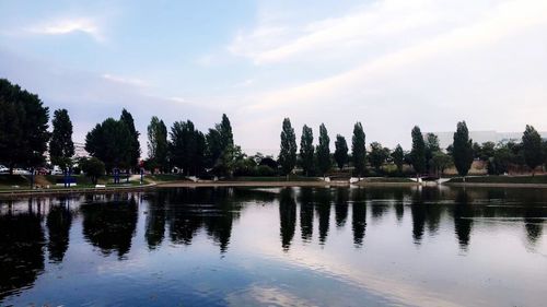 Reflection of trees in lake