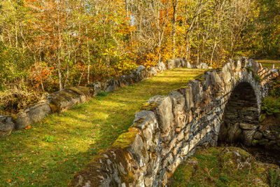 Stone wall in park during autumn