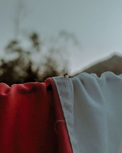 Close-up of clothes hanging on white fabric