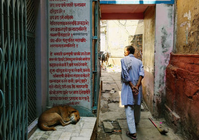 Full length of dog by door of building