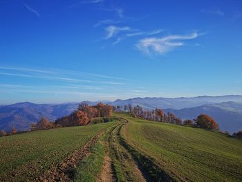 Scenic view of agricultural field against sky