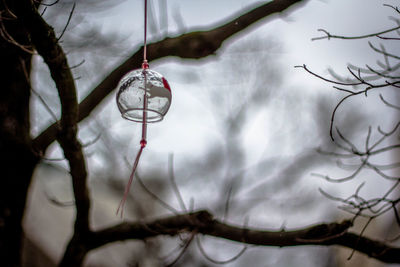 Low angle view of bare tree against sky