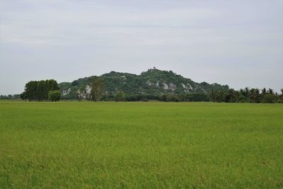 Scenic view of field against sky