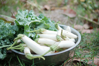 High angle view of chopped vegetables on plant