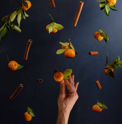 Midsection of woman with fruits leaves