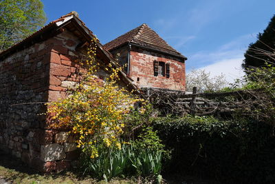 Low angle view of ivy growing on building against sky