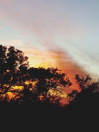 Low angle view of silhouette trees against sky at sunset