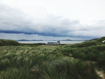 Scenic view of field against sky