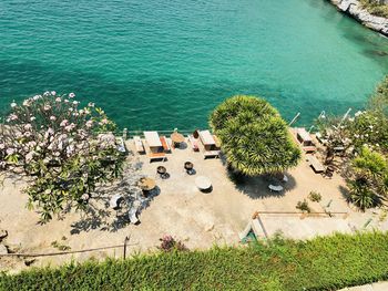 High angle view of trees by sea