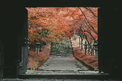 Footpath amidst trees during autumn