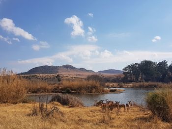 Scenic view of lake against sky