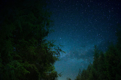 Low angle view of trees against sky at night