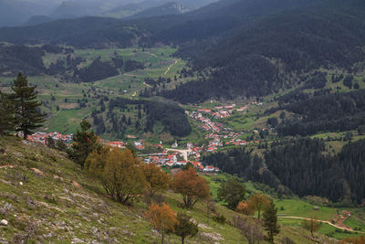 High angle view of trees and buildings on mountain