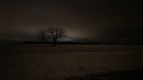 Bare tree on landscape against sky