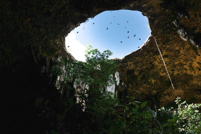View from inside a cenote looking up at sky in yucatan mexico.