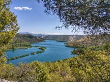 Scenic view of lake and trees against sky