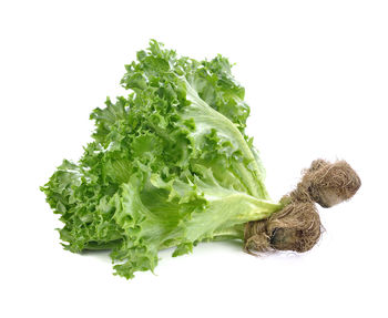 Close-up of vegetable over white background