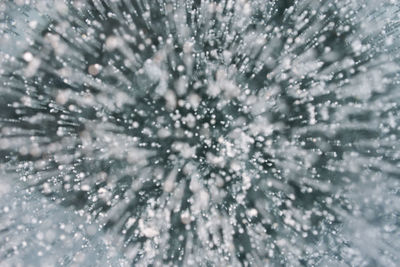 Full frame shot of plants during winter