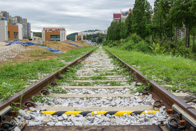 Railroad tracks by plants against sky