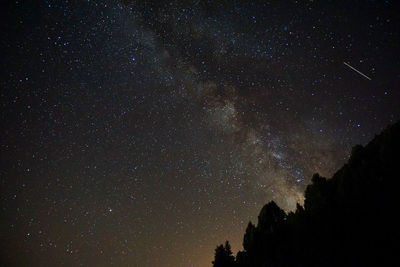 Low angle view of silhouette trees against star field at night