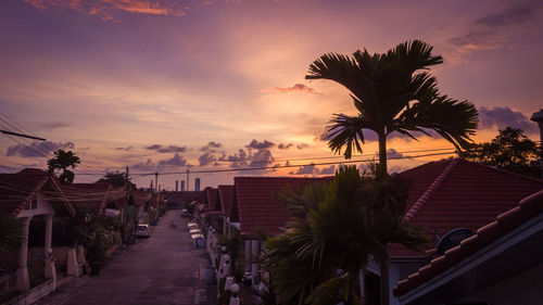 Scenic view of palm trees against sky at sunset