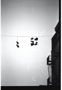 Low angle view of silhouette birds on building against sky