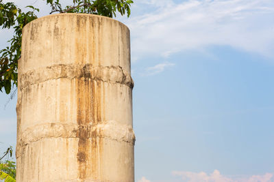 Low angle view of plant against sky
