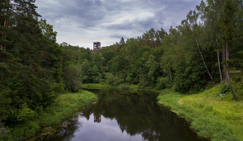 Scenic view of forest against sky