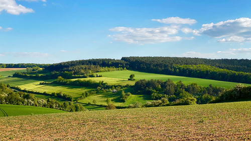 Scenic view of agricultural field against sky