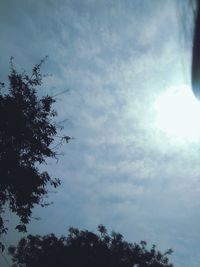 Low angle view of tree against cloudy sky