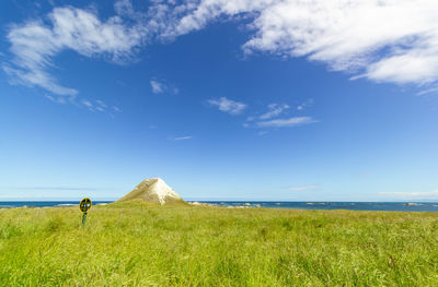 Scenic view of field against sky