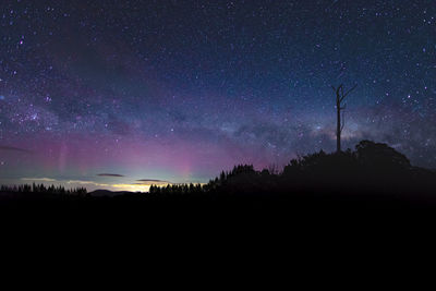 Silhouette trees against sky at night