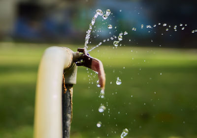 Close-up of water splashing from faucet