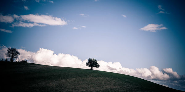 Trees on field against sky